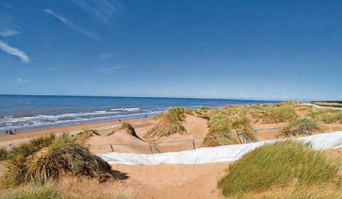 Warning as palm oil lumps found washed up on beach