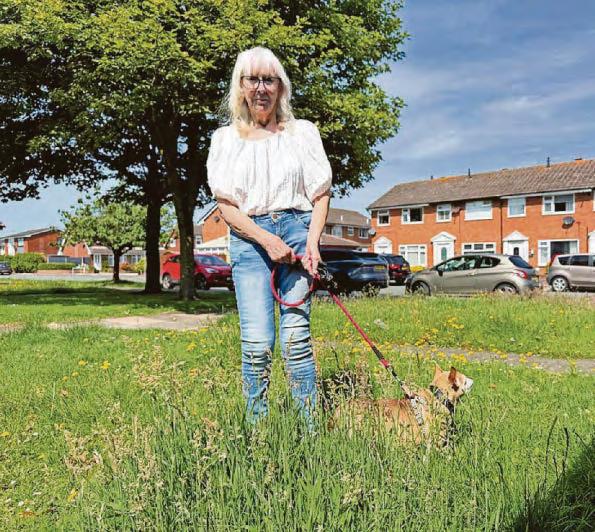 Call for return of grass-cutting service to prevent 'a jungle'