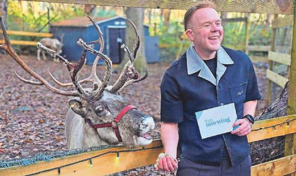 Buddy the reindeer safely home after escaping