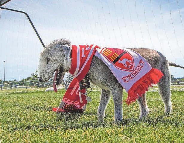 End of an era as Terriers are forced to shut down