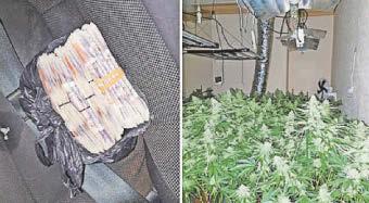 £15k found inside car as cannabis farm discovered and arrests made