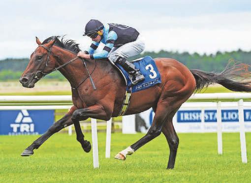 Giant Sequoia towers over rivals on return to Curragh