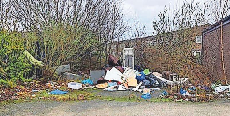Appeal to report fly tippers after mess
