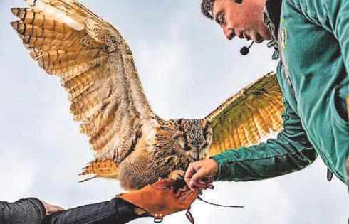 Thousands flock to busy country show