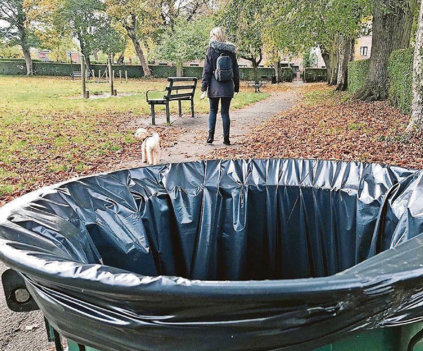 Dog control rules could be made stricter to address public concern