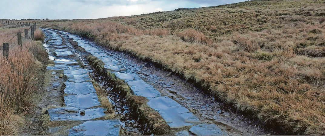 Wind farm weather mast decision blown off course