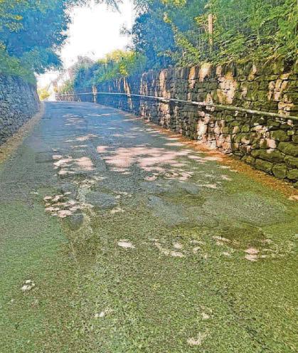 'Not quite the moon but there are enough craters'– cyclists