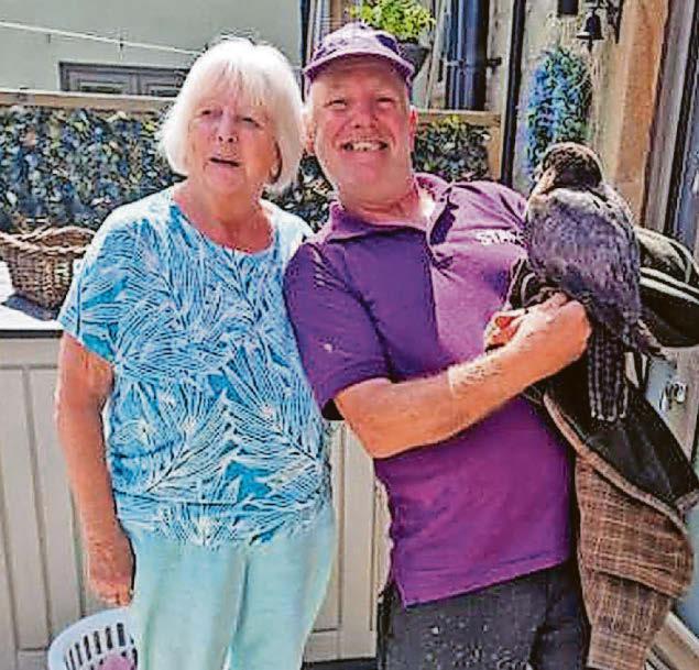 Anne, 82, rescues falcon from canal