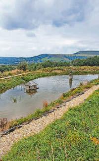 Garden open to raise hospice funds