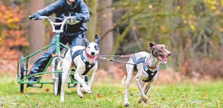 Megan overcomes heart condition to win contest