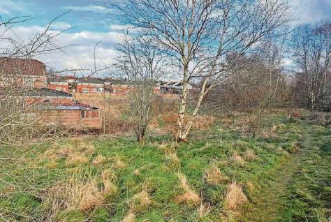 Estate plan creates ticking time bomb’