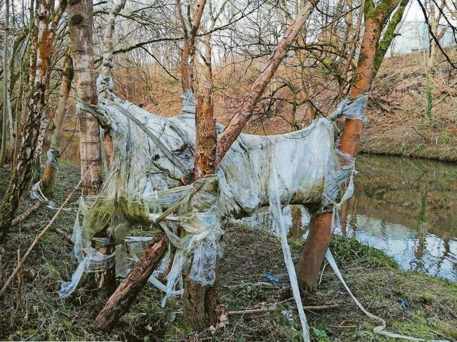 'I wouldn't let my dogs go in there, you don't know what's in it...