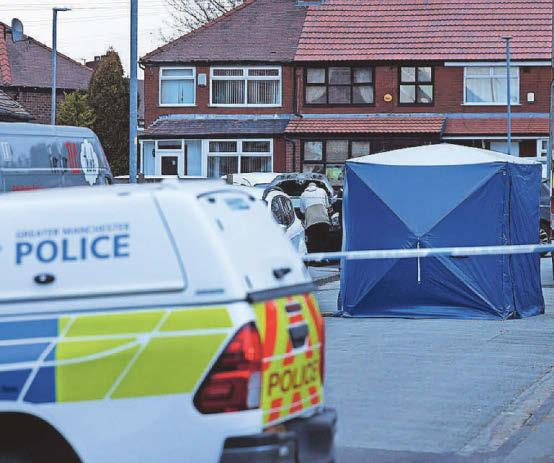 'Blood-curdling' screams heard as attack victim seriously injured