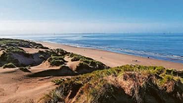 Warning to dog owners after lumps of palm oil wash up on beach