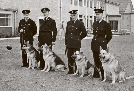 DIAL K999