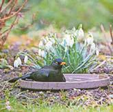 It's time to winter proof your patch