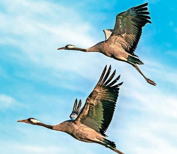 New 'runways' that we can all welcome