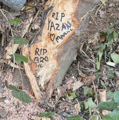 Boy, 16, dies in crash