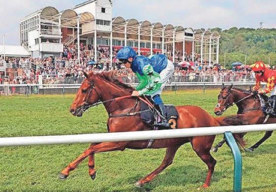 Enjoy an evening of racing and live music at Shipstone's Beer Festival Race Night