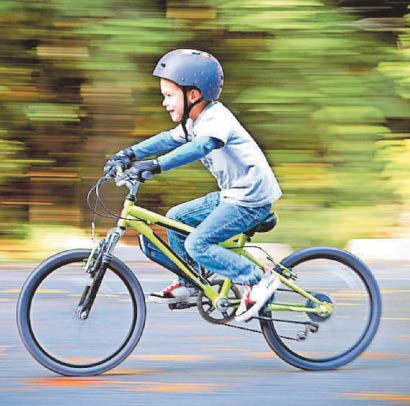 Our family bike ride turns into a race against nature