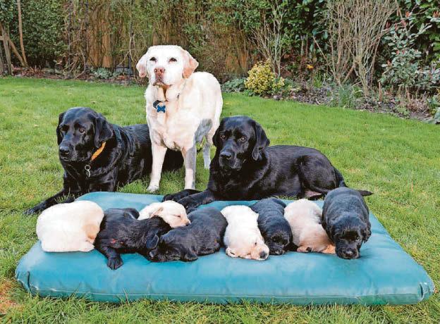 Special Mother's Day for great-gran Connie