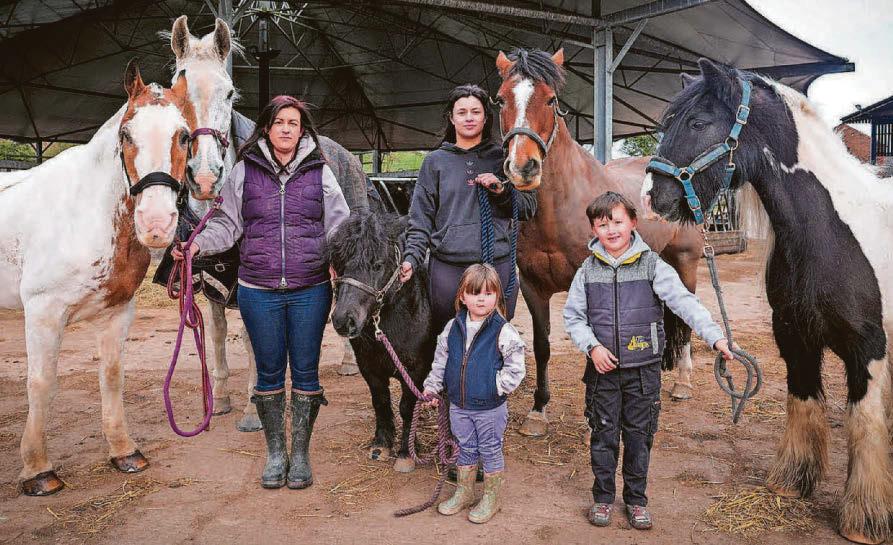 'Heartbreak' as family told they have 6 weeks to move horses off farm