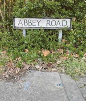 Yes, we have no bananas!