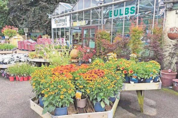 Southwell Garden Centre marks 25 years with exciting Silver Jubilee offers