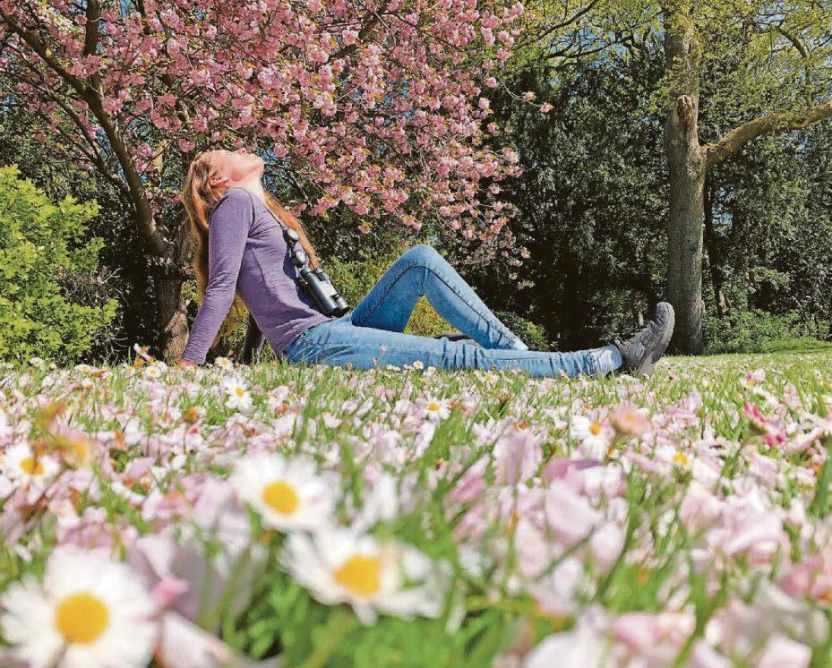 Don't miss out on the spectacle of spring