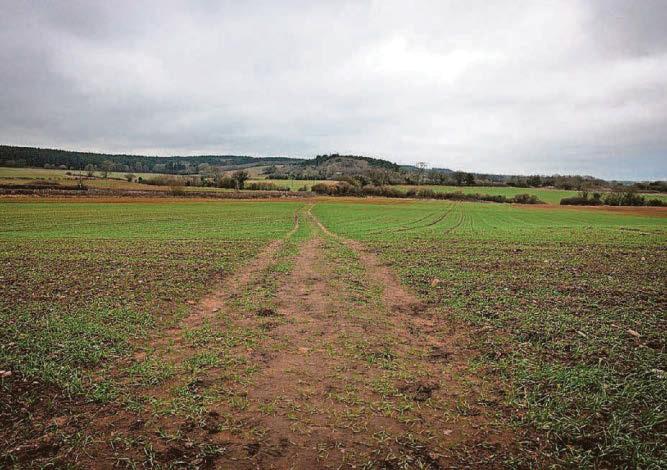 Controversial plans for 3,000 homes are back on the table