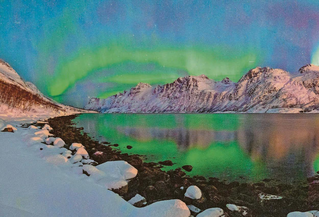 BLINDED BY THE NIGHT