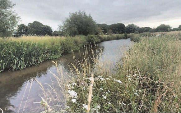 Collapsed river bank to get £360k stabilisation works this summer