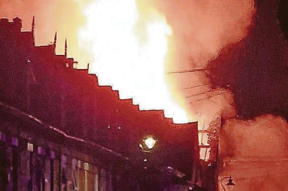 'Horrified' owner grateful to survive