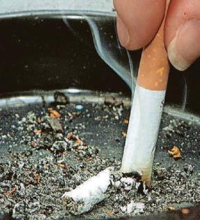 £39.6 million set aside to help raise the city's healthy life expectancy