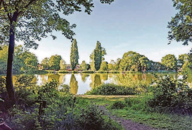 Town's football pitch will be replaced with two new ones