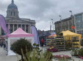 The world’s your oyster as international market returns