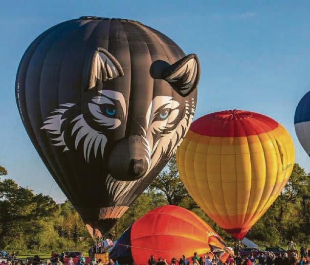 Ballon festival rethink leaves ticket holders' plans up in air