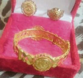 Burglars made 'continuous trips' to home they emptied