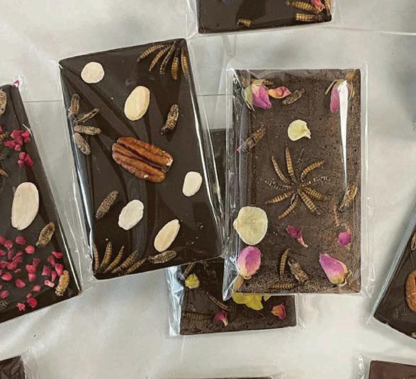 Red tape and stigma only things keeping insects off our menus