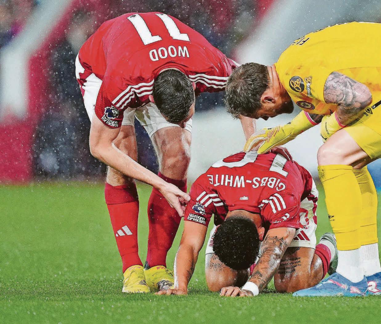 Reds stung by Bees in a night to forget