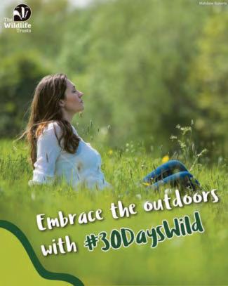 Warm welcome extended to Wild bunch newcomers