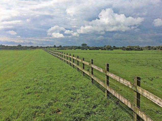 Quarry plans inappropriate for green belt, say objectors