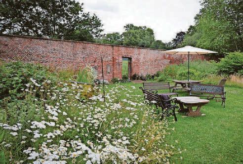 Transforming secret garden is a volunteer project 'like no other'