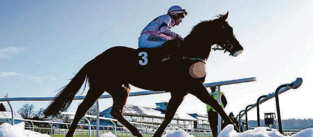 Artista looking like a winner in waiting