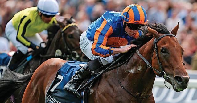 Lion in Winter looking to roar to a classic York win