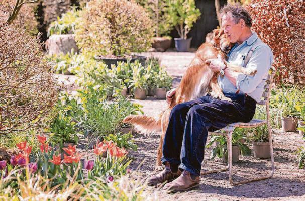 One man and his dog... and their RHS garden
