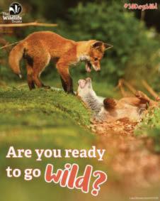 Check out the wildlife close to where you live