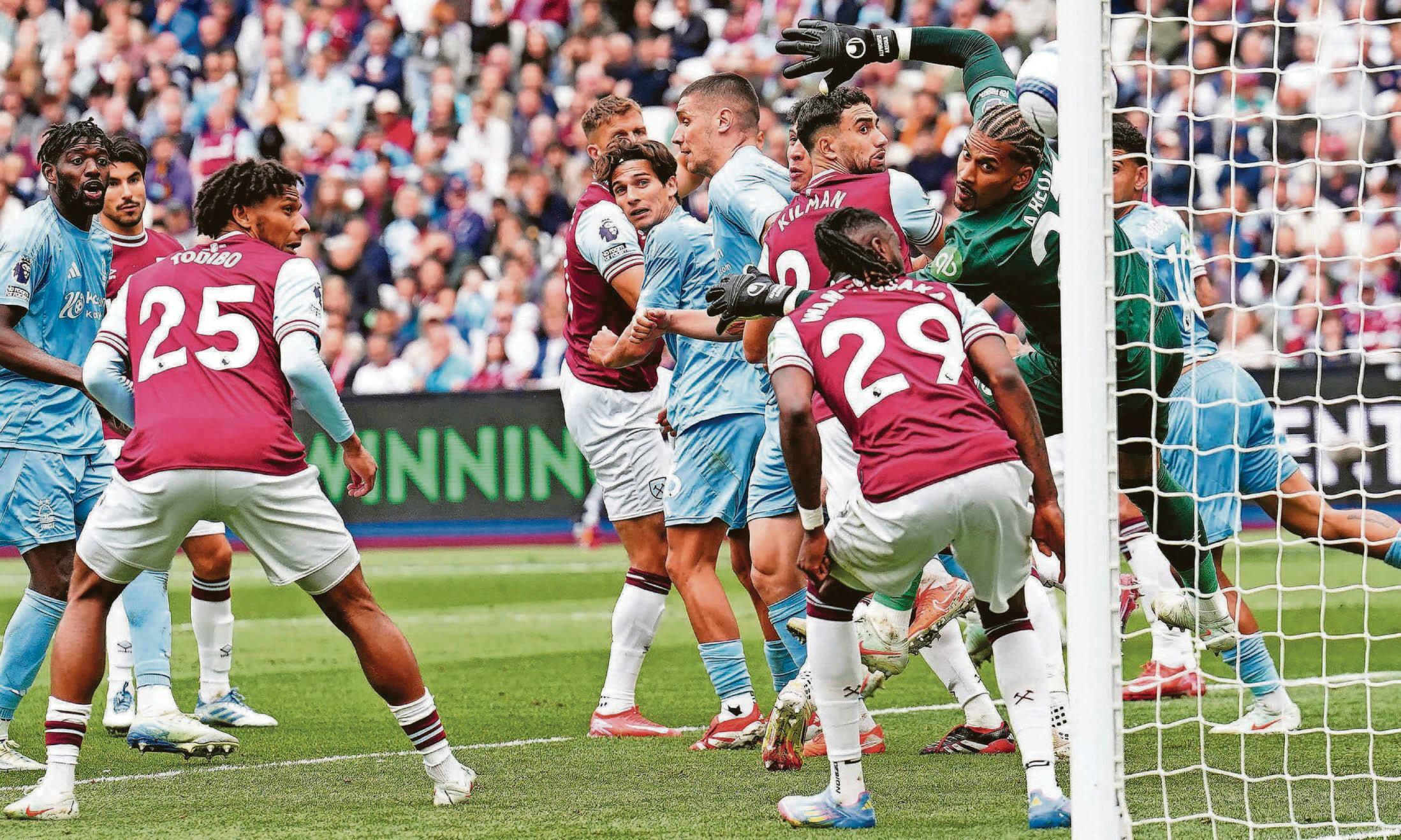 IN Capital gain means Forest stay in hunt for top five