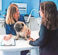 Top tips on how to keep your vet bills affordable