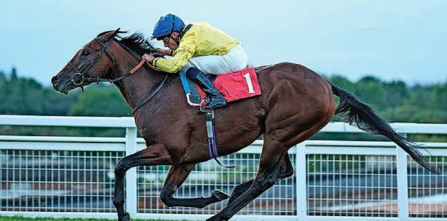 HORSE POWER Almagam is the one to beat in Brigadier Gerard Stakes